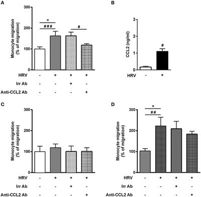 Asthmatic Bronchial Smooth Muscle Increases CCL5-Dependent Monocyte Migration in Response to Rhinovirus-Infected Epithelium